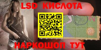 гашик Малгобек