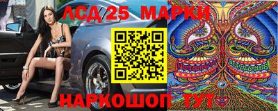 гашик Малгобек
