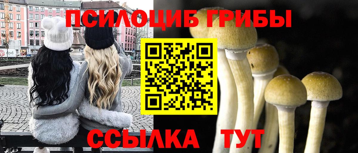 наркошоп  Псилоцибиновые грибы GOLDEN TEACHER  Галлюциногенные грибы мицелий  Вход с VPN  Татарск 